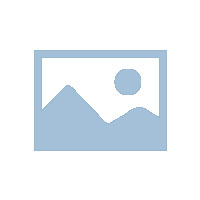 正常儿童运动发育程序